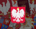 polish eagle logo